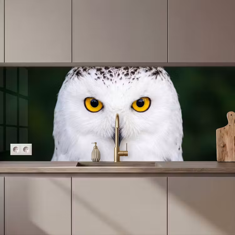 Sneeuwuil - Portret - Geel keuken achterwand 2 middel zz_3dshopping