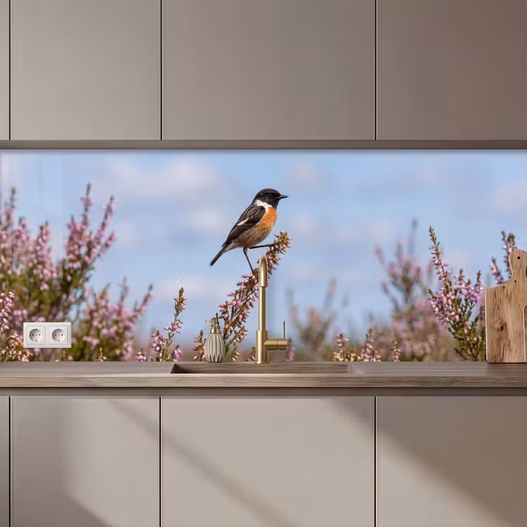 Roodborsttapuit - Heide - Paars - Natuur - Sfeervol keuken achterwand 2 middel zz_3dshopping