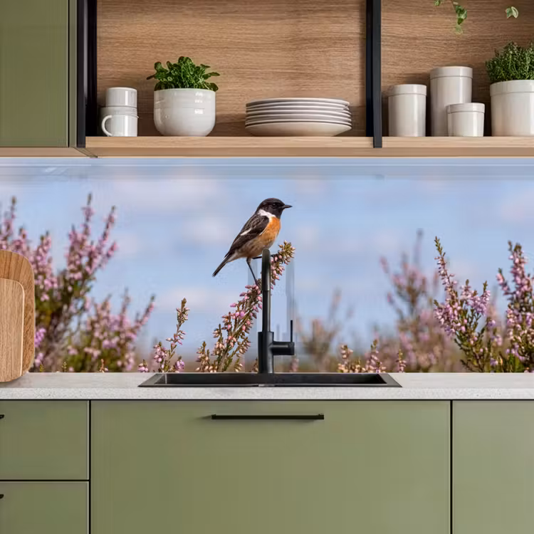 Roodborsttapuit - Heide - Paars - Natuur - Sfeervol keuken achterwand 2 middel -sfeer3