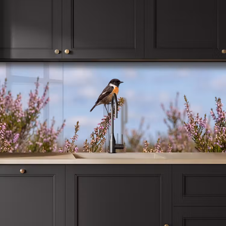 Roodborsttapuit - Heide - Paars - Natuur - Sfeervol keuken achterwand 2 middel -sfeer1
