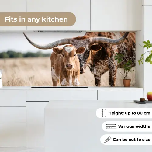 Texas Longhorn - Kalf - Weide - Dieren keuken achterwand 2 middel -sfeer4_UK