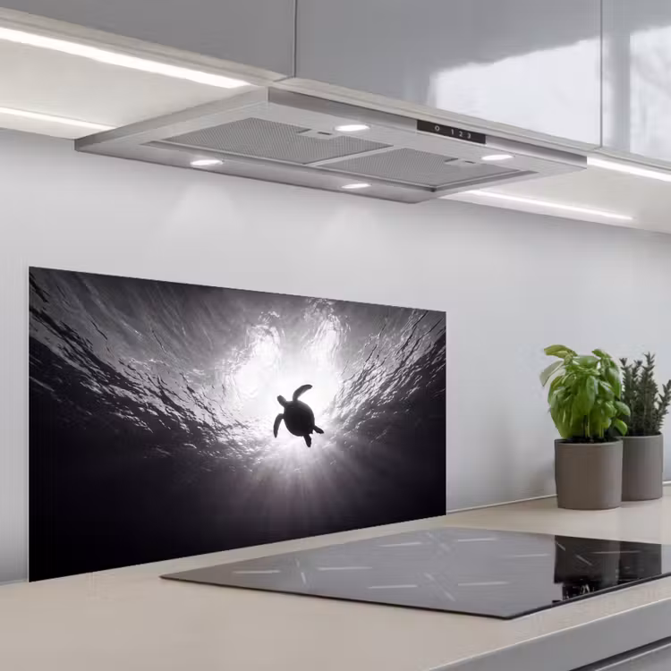 Schildpad - Onderwater - Lichtstralen - Oceaan - Zwart-wit keuken achterwand spatscherm middel -3d_schuin
