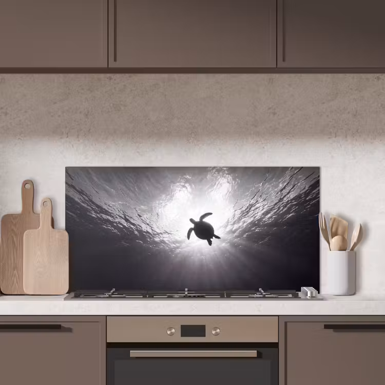 Schildpad - Onderwater - Lichtstralen - Oceaan - Zwart-wit keuken achterwand spatscherm middel -sfeer2