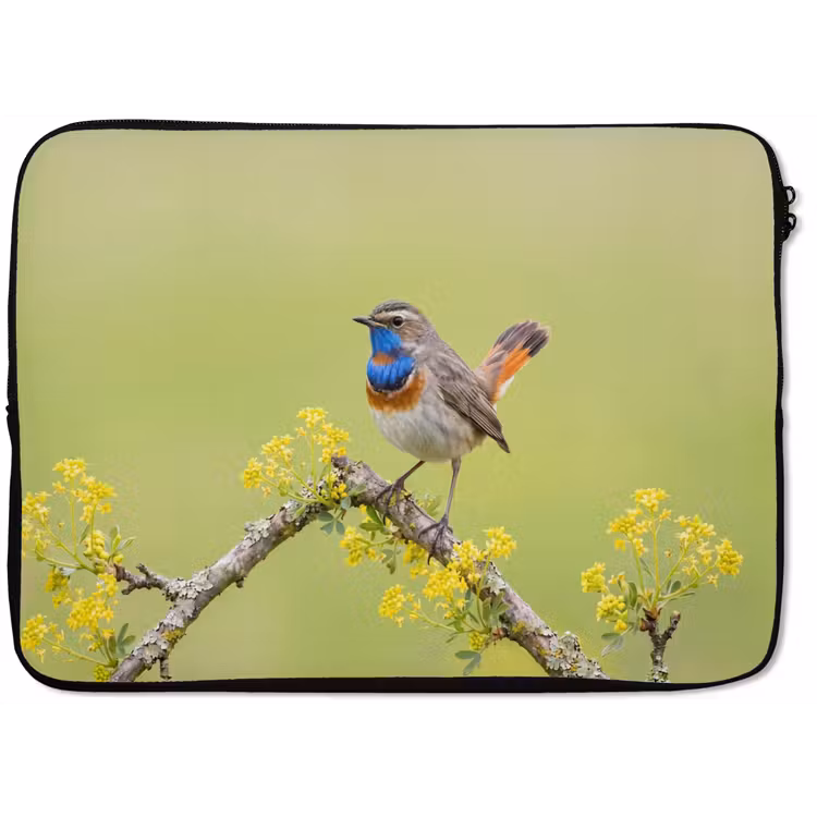 Vogel - Tak - Natuur - Kleurrijk laptophoes neopreen klein -zkaufland3dotto
