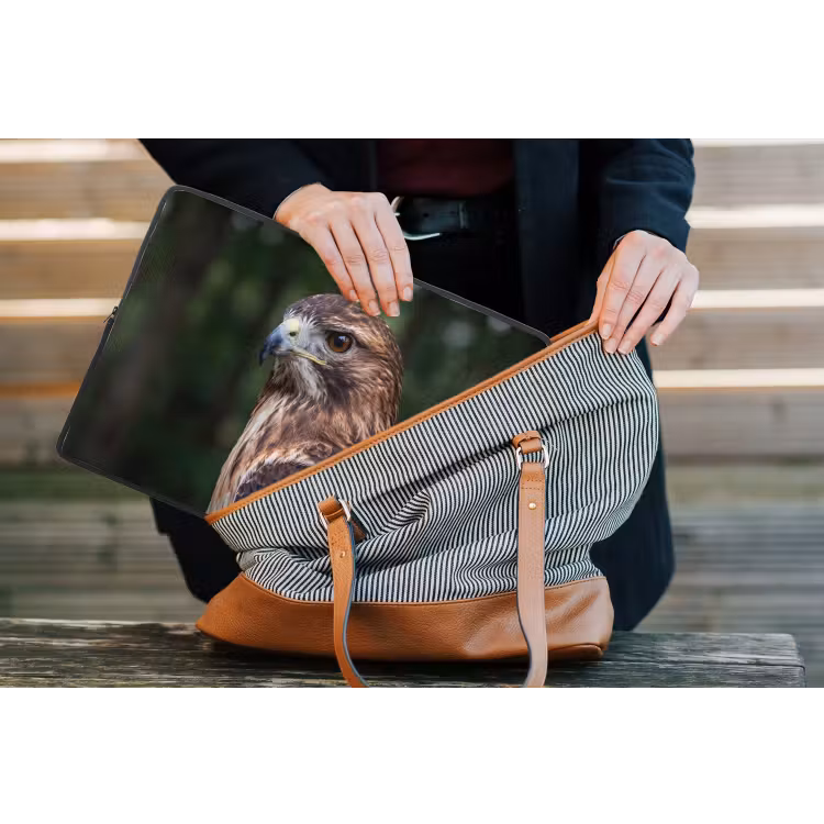 Buizerd - Roofvogel - Natuur - Bruin laptophoes neopreen klein -tas