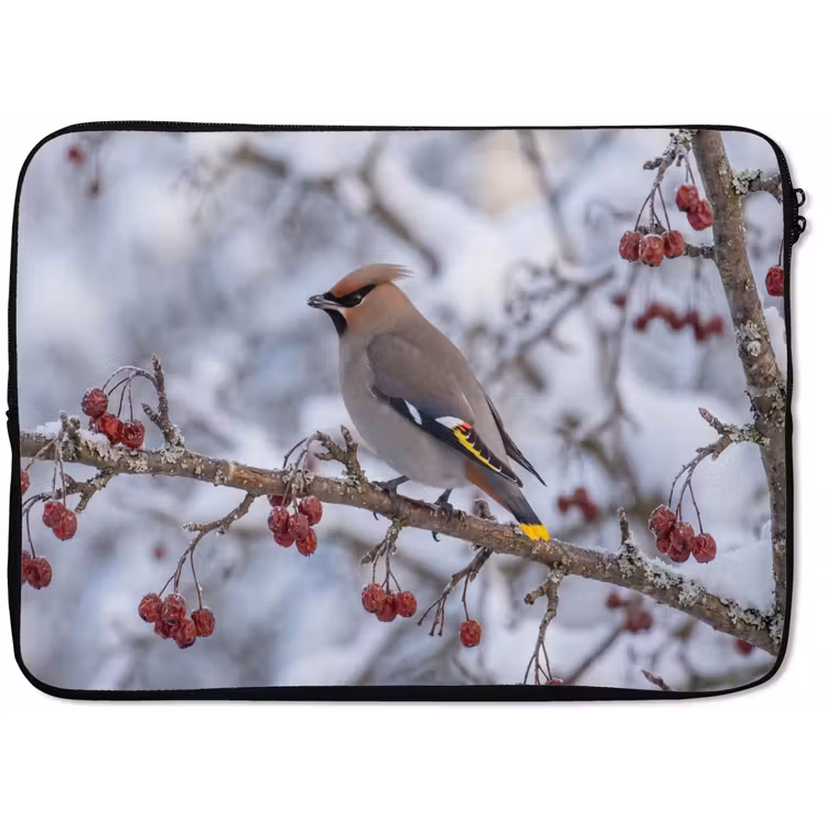 Pestvogel - Bessen - Winter - Natuur laptophoes neopreen klein -zkaufland3dotto