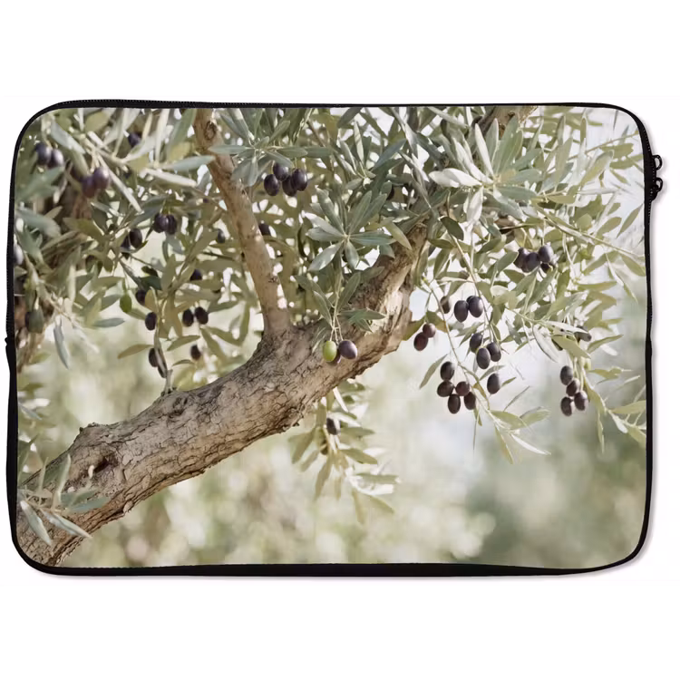 Laptop Sleeve - Olive tree - branch - green - Olijfboom - tak - groen laptophoes neopreen klein