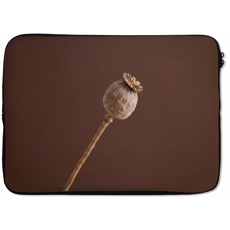 Papaverbol - Droogbloem - Bruin - Minimalistisch laptophoes neopreen klein -zkaufland3dotto