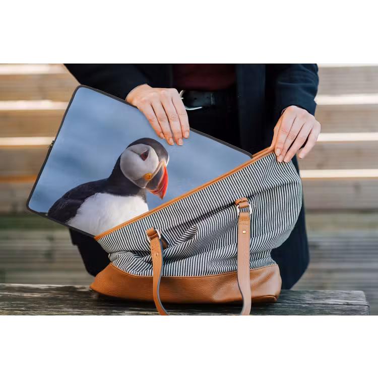 Papegaaiduiker - Portret - Natuur laptophoes neopreen klein -tas