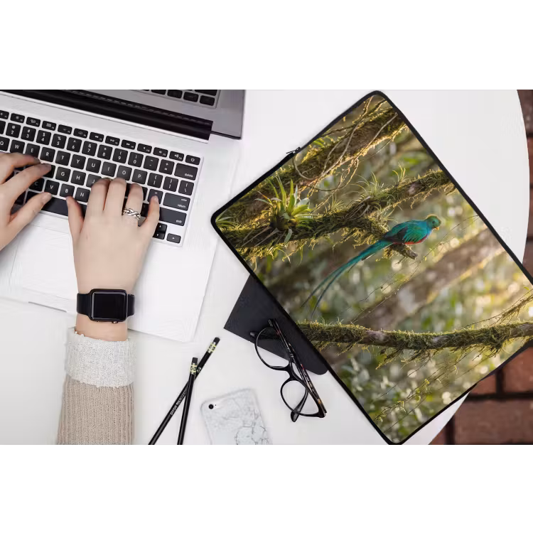 Quetzal - Jungle - Natuur - Groen laptophoes neopreen klein -bureau