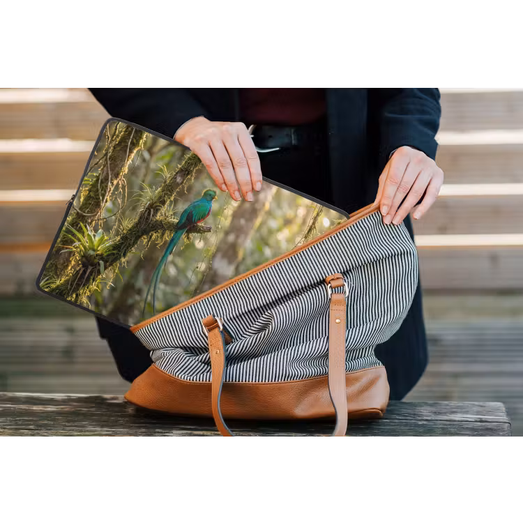 Quetzal - Jungle - Natuur - Groen laptophoes neopreen klein -tas