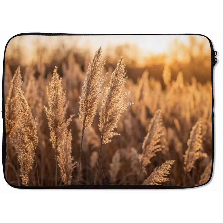 Rietpluimen - Gras - Zonsondergang - Goud - Serene laptophoes neopreen klein -zkaufland3dotto