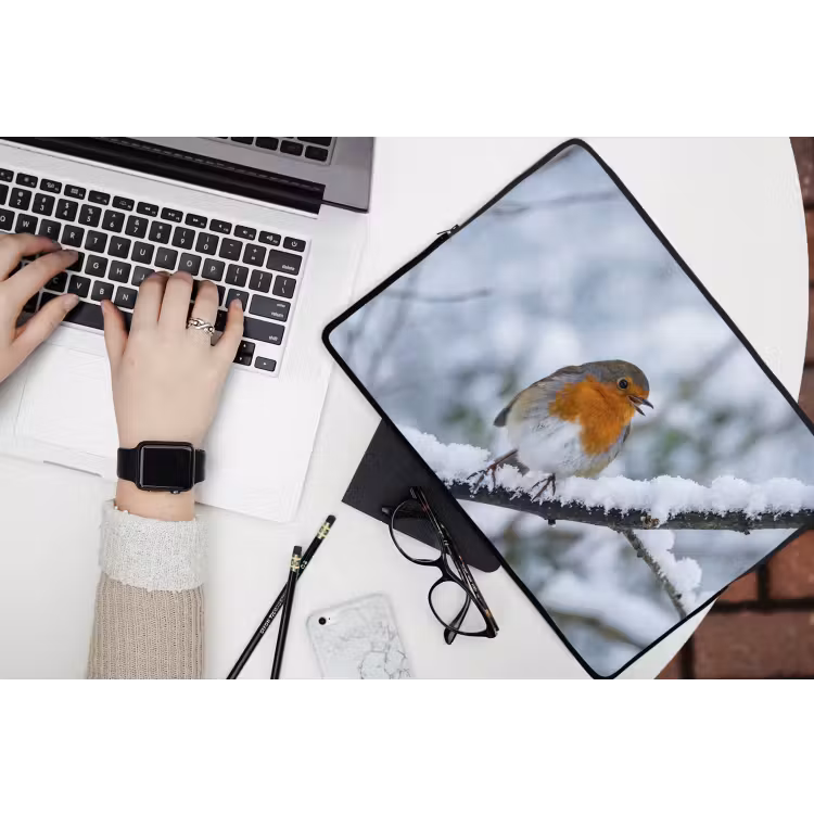 Roodborstje - Tak - Sneeuw - Winter - Levendig laptophoes neopreen klein -bureau