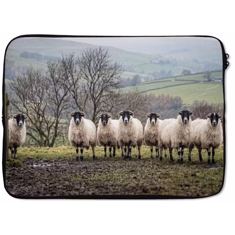 Schapen - Rij - Weide - Dieren - Platteland laptophoes neopreen klein -zkaufland3dotto