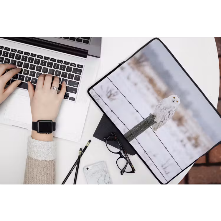 Sneeuwuil - Hek - Sneeuw - Wit laptophoes neopreen klein -bureau