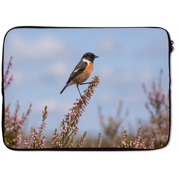 Roodborsttapuit - Heide - Paars - Natuur - Sfeervol laptophoes neopreen klein -zkaufland3dotto