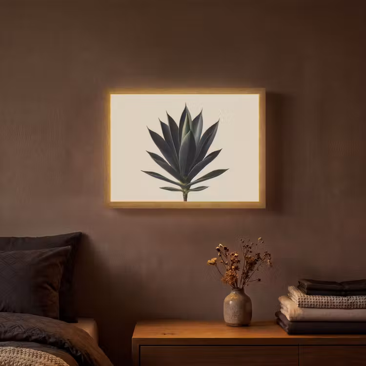 Agaveplant - Symmetrisch - Groen Light Box met batterij (Wandlamp) middel -sfeer4