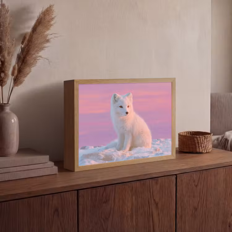 Poolvos - Sneeuw - Roze Light Box met batterij (Wandlamp) middel -sfeer2