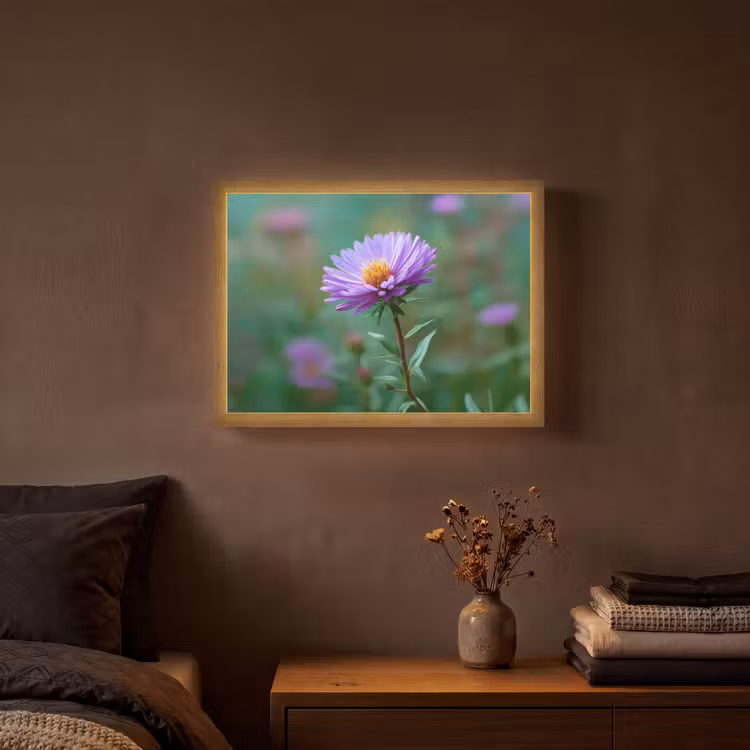 Aster - Paars - Bloem - Blaadjes Light Box met batterij (Wandlamp) middel -sfeer4