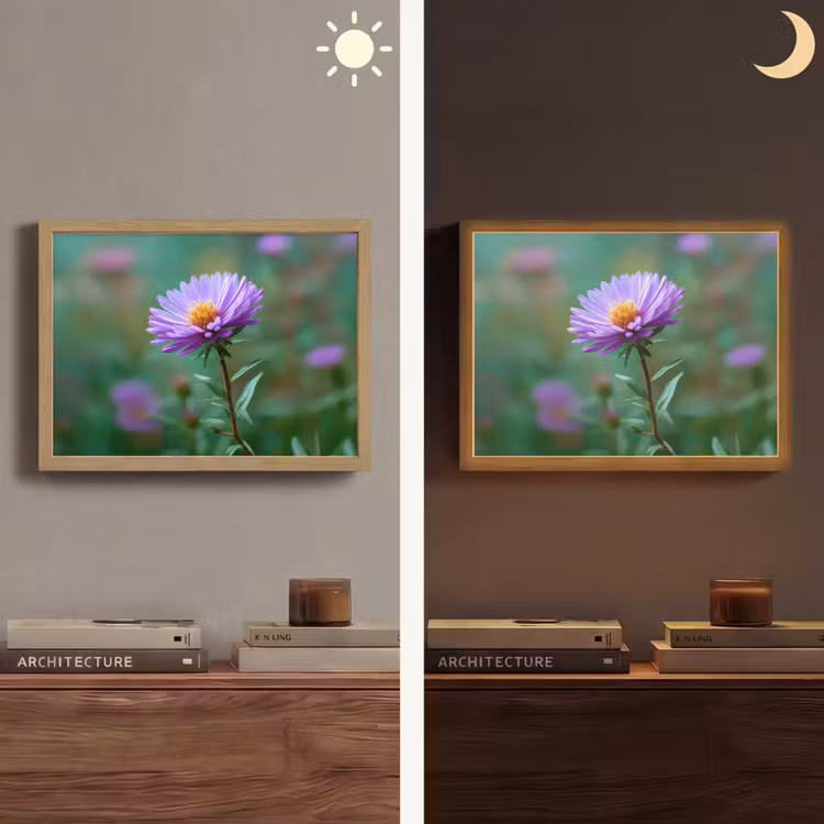 Aster - Paars - Bloem - Blaadjes Light Box met batterij (Wandlamp) middel -sfeer3