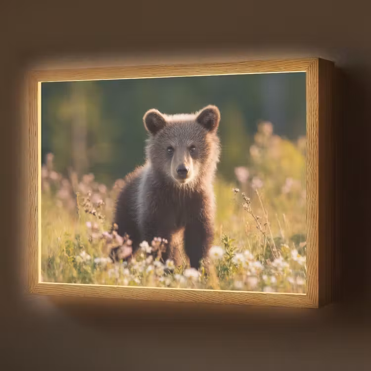 Beer - Bloemenveld - Gras Light Box met batterij (Wandlamp) middel -z3d_website