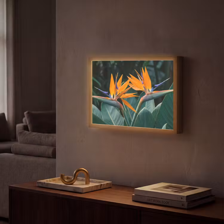 Paradijsvogel - Bloem - Exotisch Light Box met batterij (Wandlamp) middel -sfeer1
