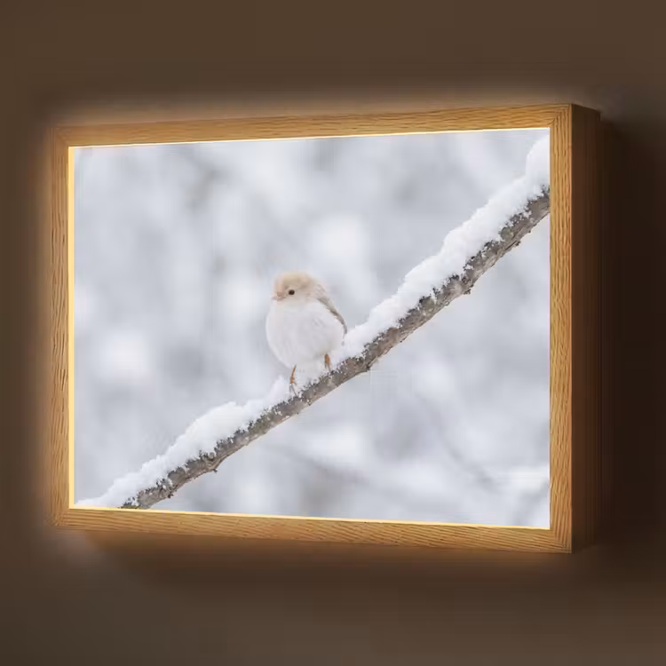 Vogeltje - Sneeuw - Tak - Winter - Zacht Light Box met batterij (Wandlamp) middel -z3d_website