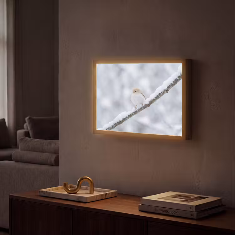 Vogeltje - Sneeuw - Tak - Winter - Zacht Light Box met batterij (Wandlamp) middel -sfeer1