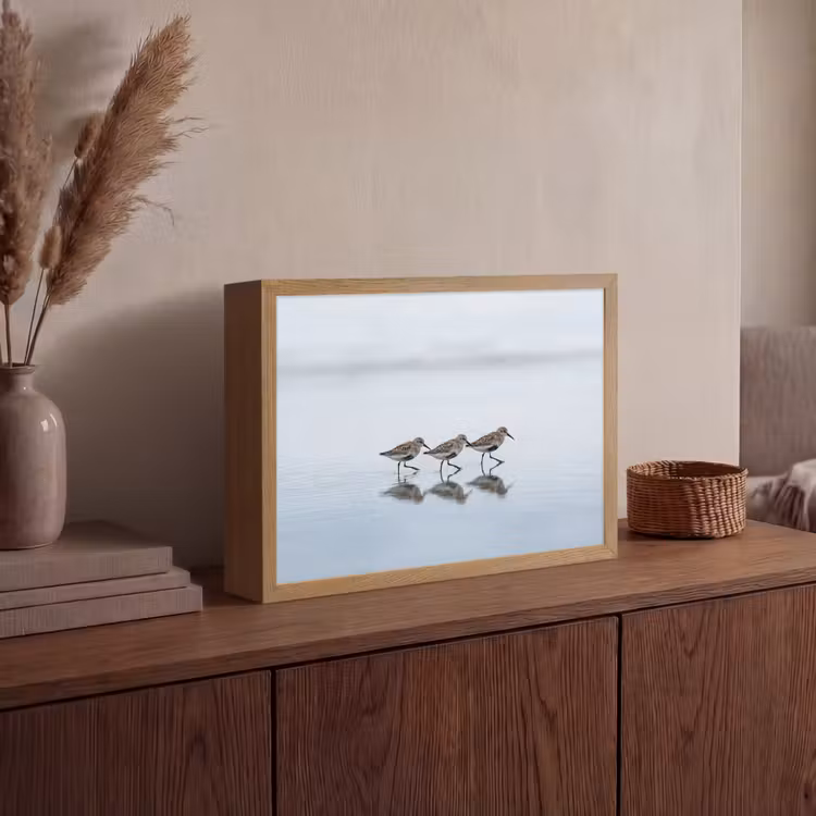 Vogels - Water - Grijs Light Box met batterij (Wandlamp) middel -sfeer2