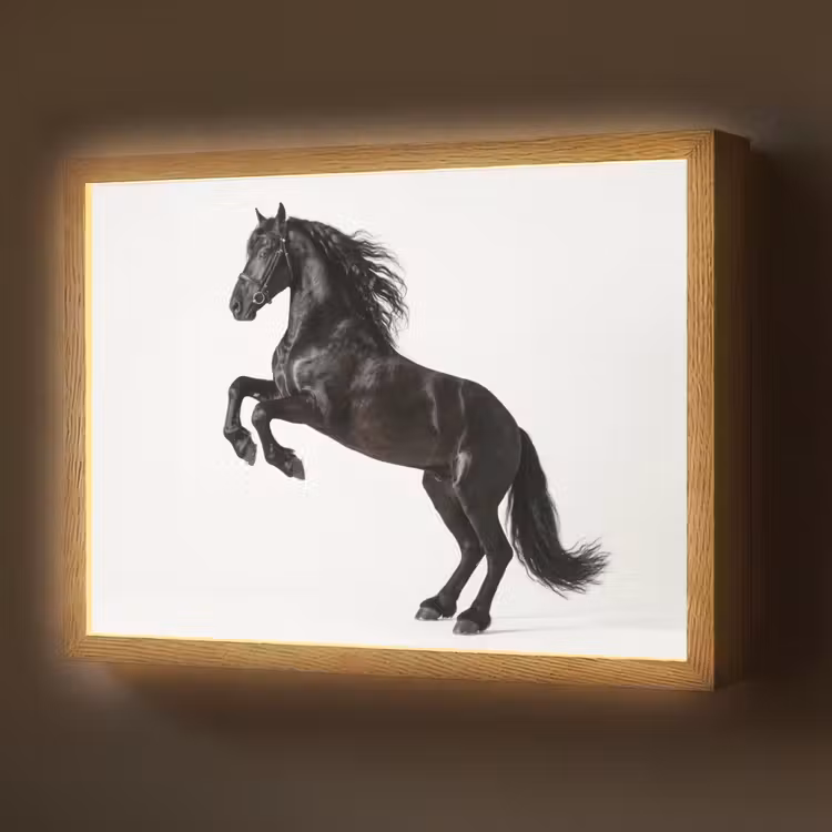 Zwart - Paard - Portret Light Box met batterij (Wandlamp) middel -z3d_website