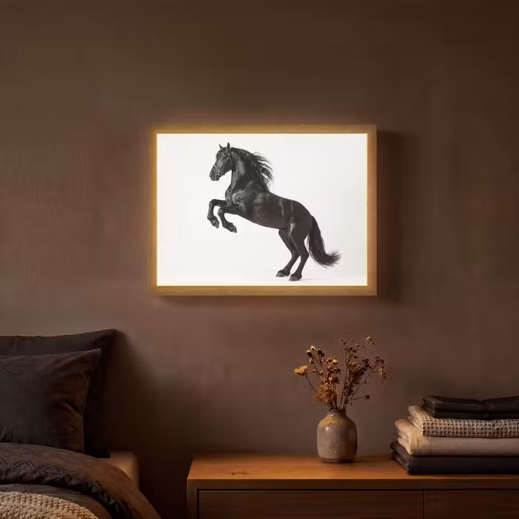 Zwart - Paard - Portret Light Box met batterij (Wandlamp) middel -sfeer4