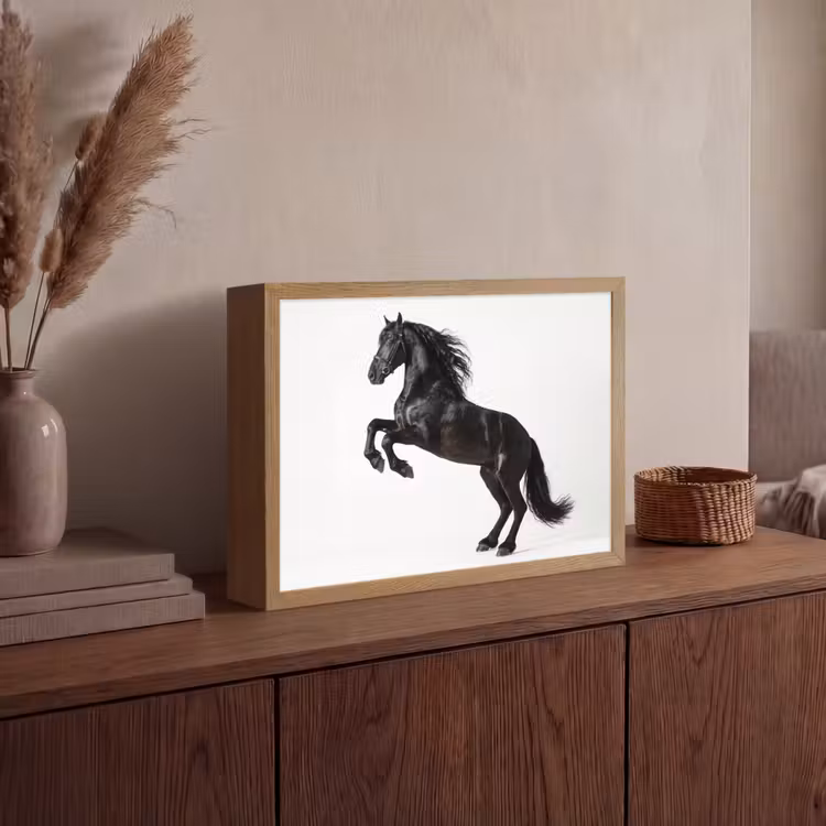 Zwart - Paard - Portret Light Box met batterij (Wandlamp) middel -sfeer2