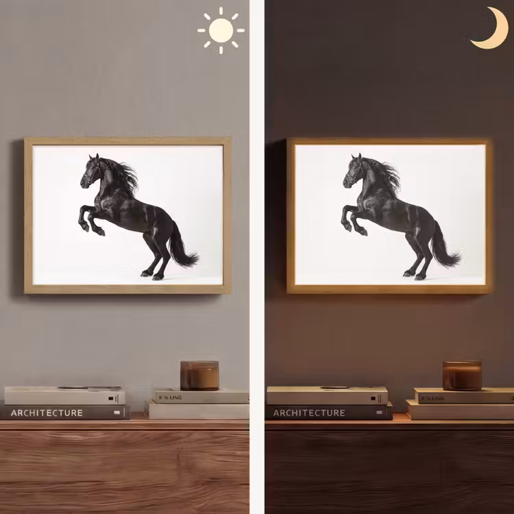 Zwart - Paard - Portret Light Box met batterij (Wandlamp) middel -sfeer3