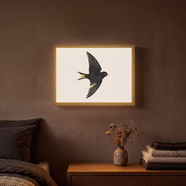 Zwarte zwaluw - Gouden accenten - Lichte achtergrond Light Box met batterij (Wandlamp) middel -sfeer4