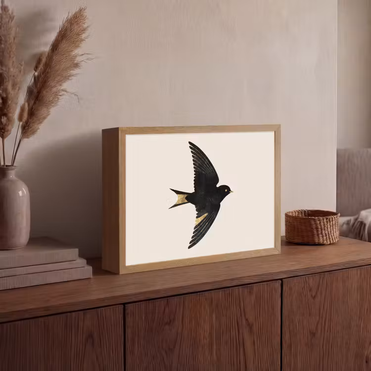 Zwarte zwaluw - Gouden accenten - Lichte achtergrond Light Box met batterij (Wandlamp) middel -sfeer2