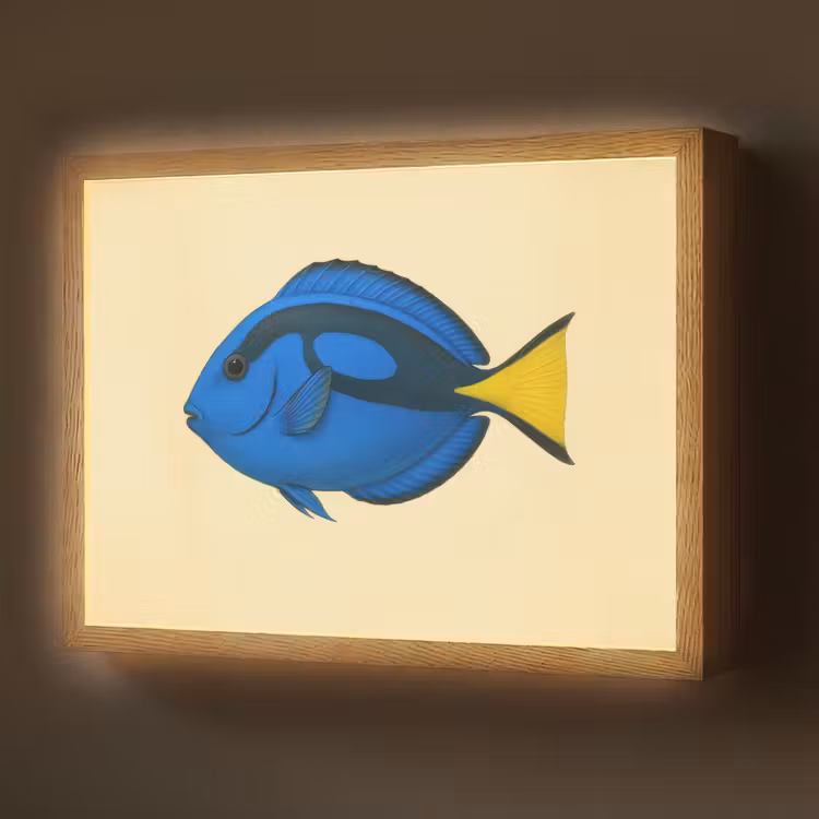 Blauw - Dory - Vis - Staartvin Light Box met batterij (Wandlamp) middel -z3d_website