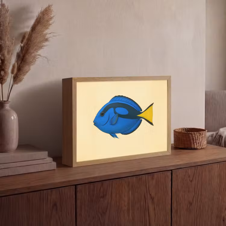 Blauw - Dory - Vis - Staartvin Light Box met batterij (Wandlamp) middel -sfeer2