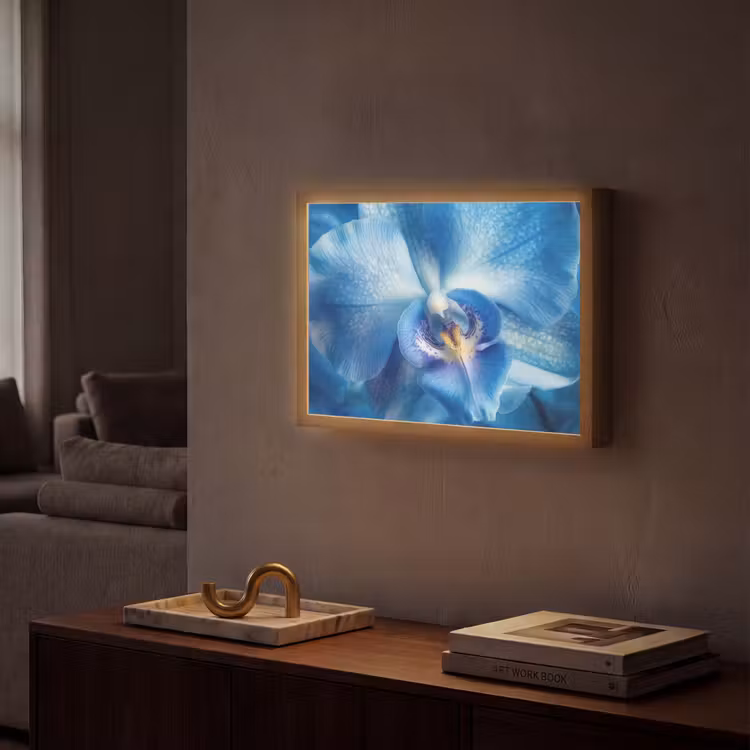 Blauw - Orchidee - Elegeant Light Box met batterij (Wandlamp) middel -sfeer1