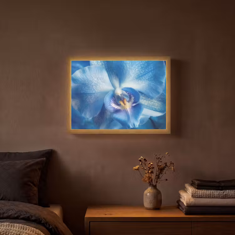 Blauw - Orchidee - Elegeant Light Box met batterij (Wandlamp) middel -sfeer4