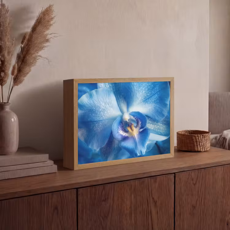 Blauw - Orchidee - Elegeant Light Box met batterij (Wandlamp) middel -sfeer2