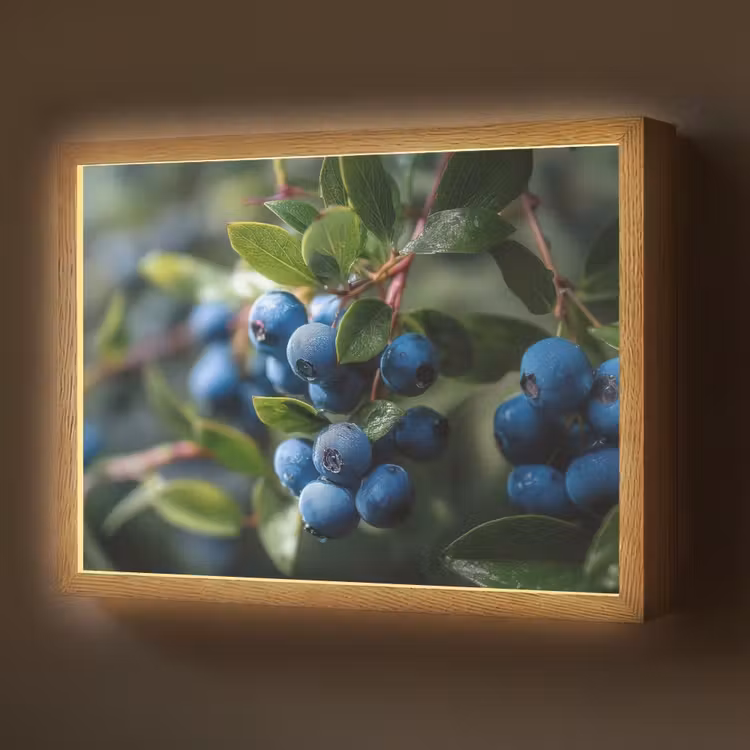 Blauwe bessen - Dauwdruppels - Natuurlijk licht Light Box met batterij (Wandlamp) middel -z3d_website