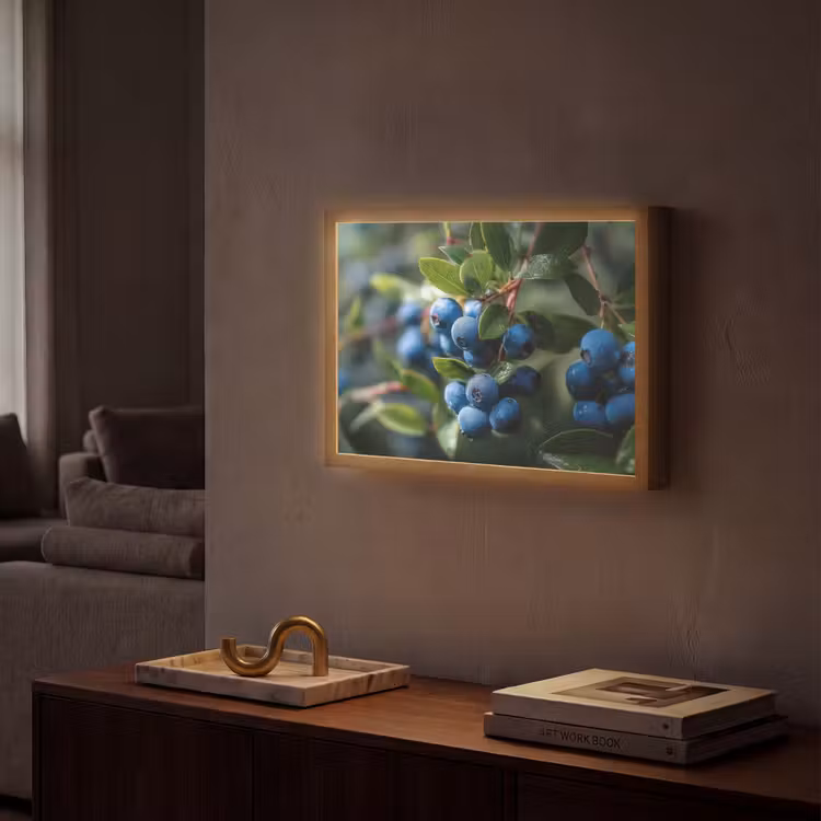 Blauwe bessen - Dauwdruppels - Natuurlijk licht Light Box met batterij (Wandlamp) middel -sfeer1