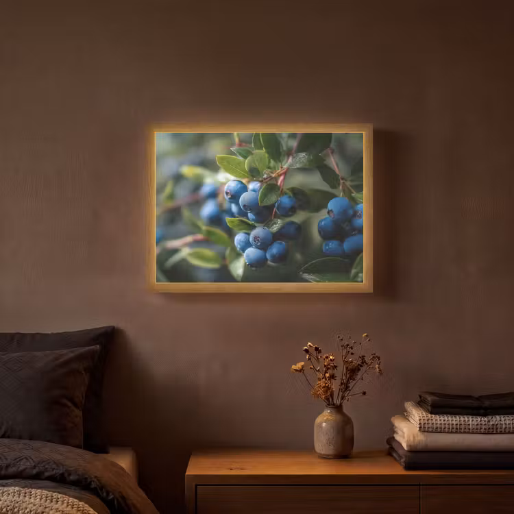 Blauwe bessen - Dauwdruppels - Natuurlijk licht Light Box met batterij (Wandlamp) middel -sfeer4