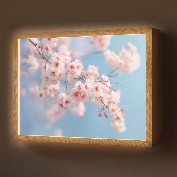 Takken - Bloesems - Roze Light Box met batterij (Wandlamp) middel -z3d_website