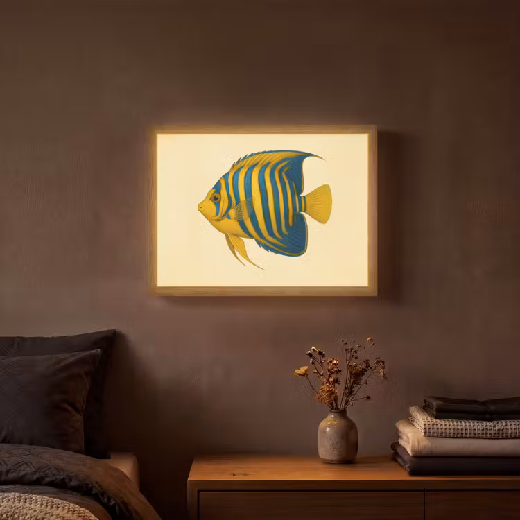 Felgeel - Vis - Strepen - Vinnen Light Box met batterij (Wandlamp) middel -sfeer4