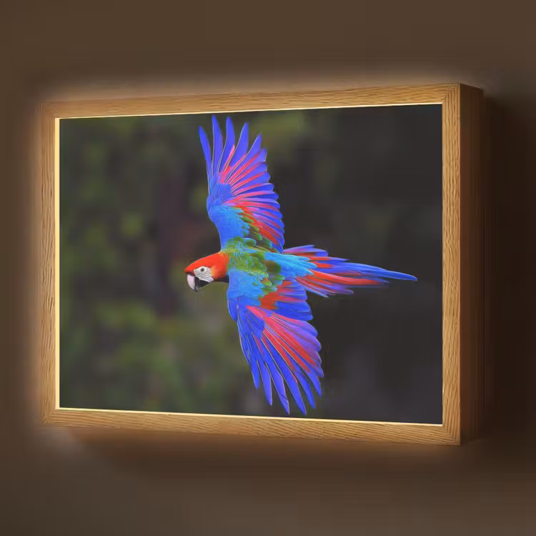 Felgekleurd - Papegaai - Bos - Vleugels Light Box met batterij (Wandlamp) middel -z3d_website
