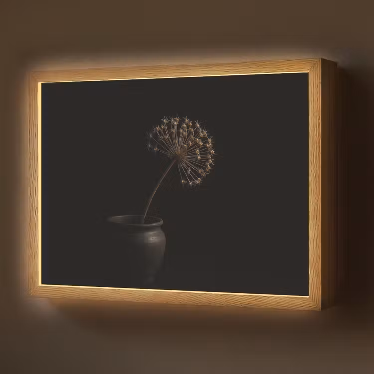 Bol - Gedroogd - Vaas - Zwart Light Box met batterij (Wandlamp) middel -z3d_website