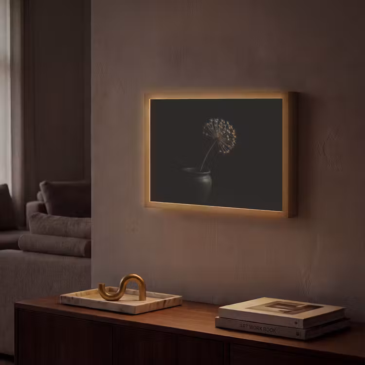 Bol - Gedroogd - Vaas - Zwart Light Box met batterij (Wandlamp) middel -sfeer1