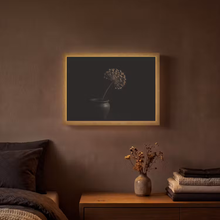 Bol - Gedroogd - Vaas - Zwart Light Box met batterij (Wandlamp) middel -sfeer4