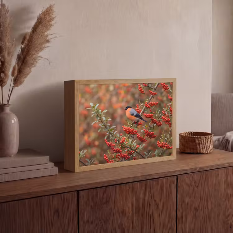 Goudvink - Bessen - Herfst - Natuur - Kleurrijk Light Box met batterij (Wandlamp) middel -sfeer2